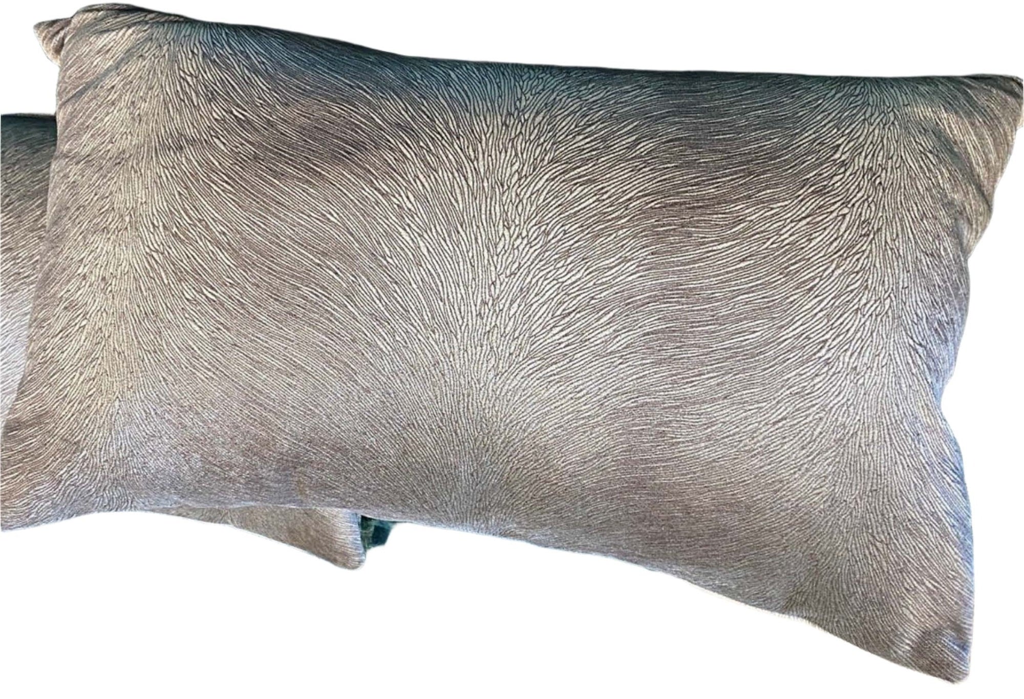 Chivasso Lumbar Accent Pillows