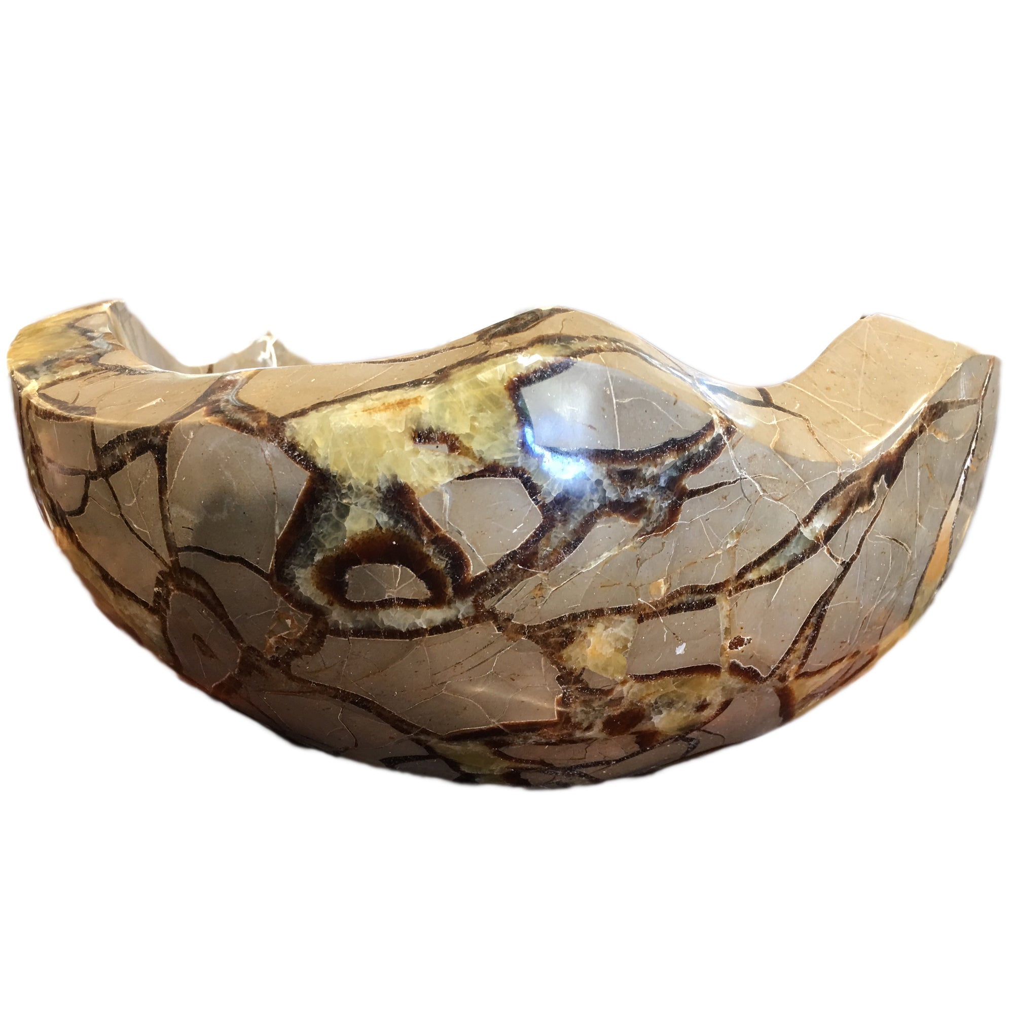 Decorative Bowl Septarian Nodule