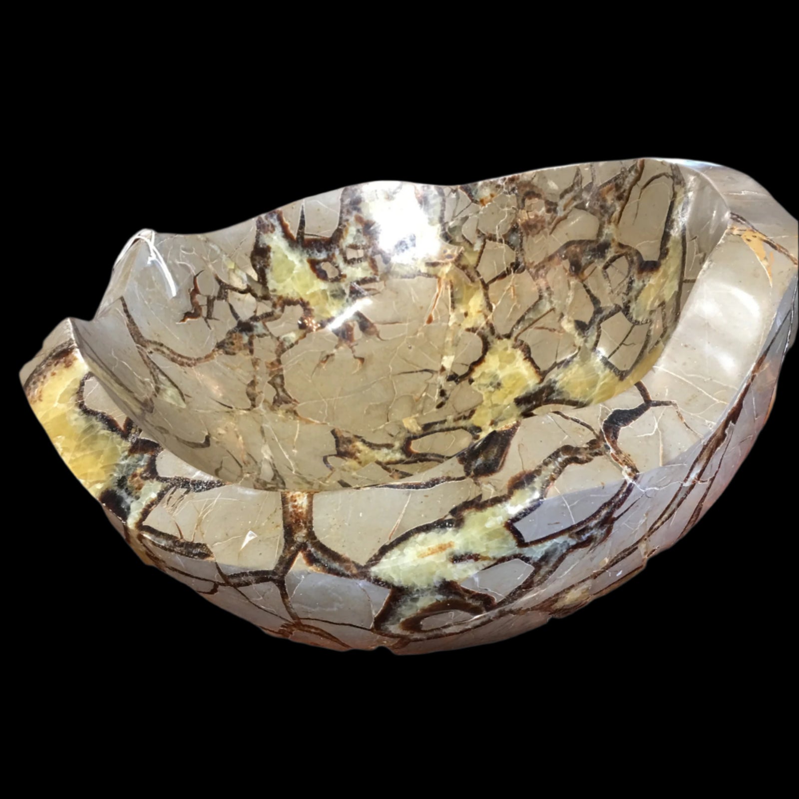 Decorative Bowl Septarian Nodule