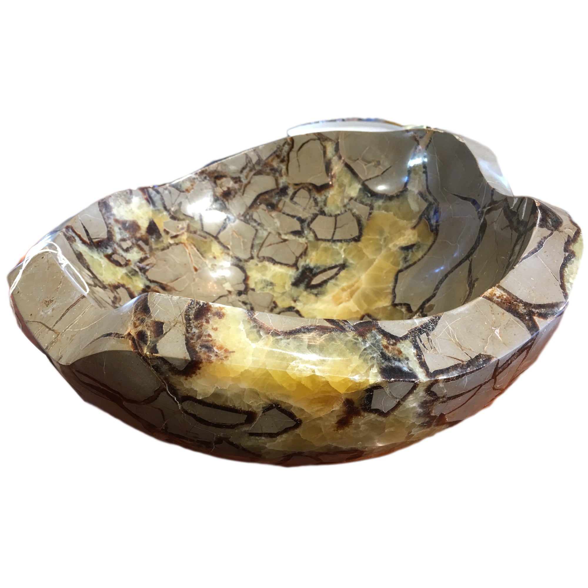 Decorative Bowl Septarian Nodule