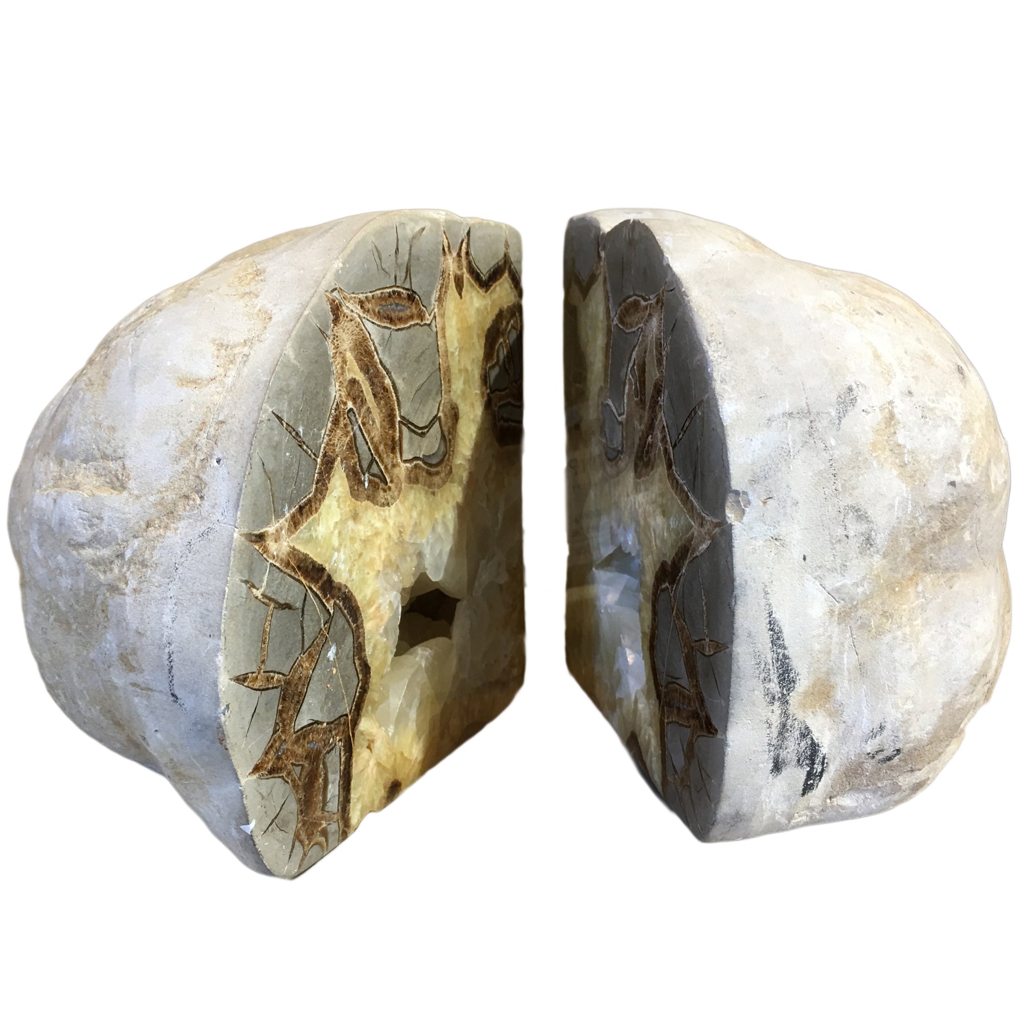 Septarian Nodule Bookends