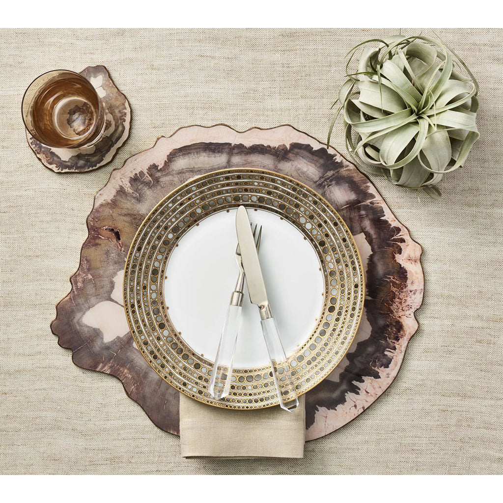 Petrified Wood Coasters