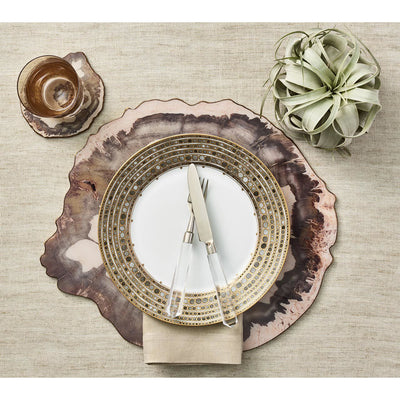 Petrified Wood Coasters