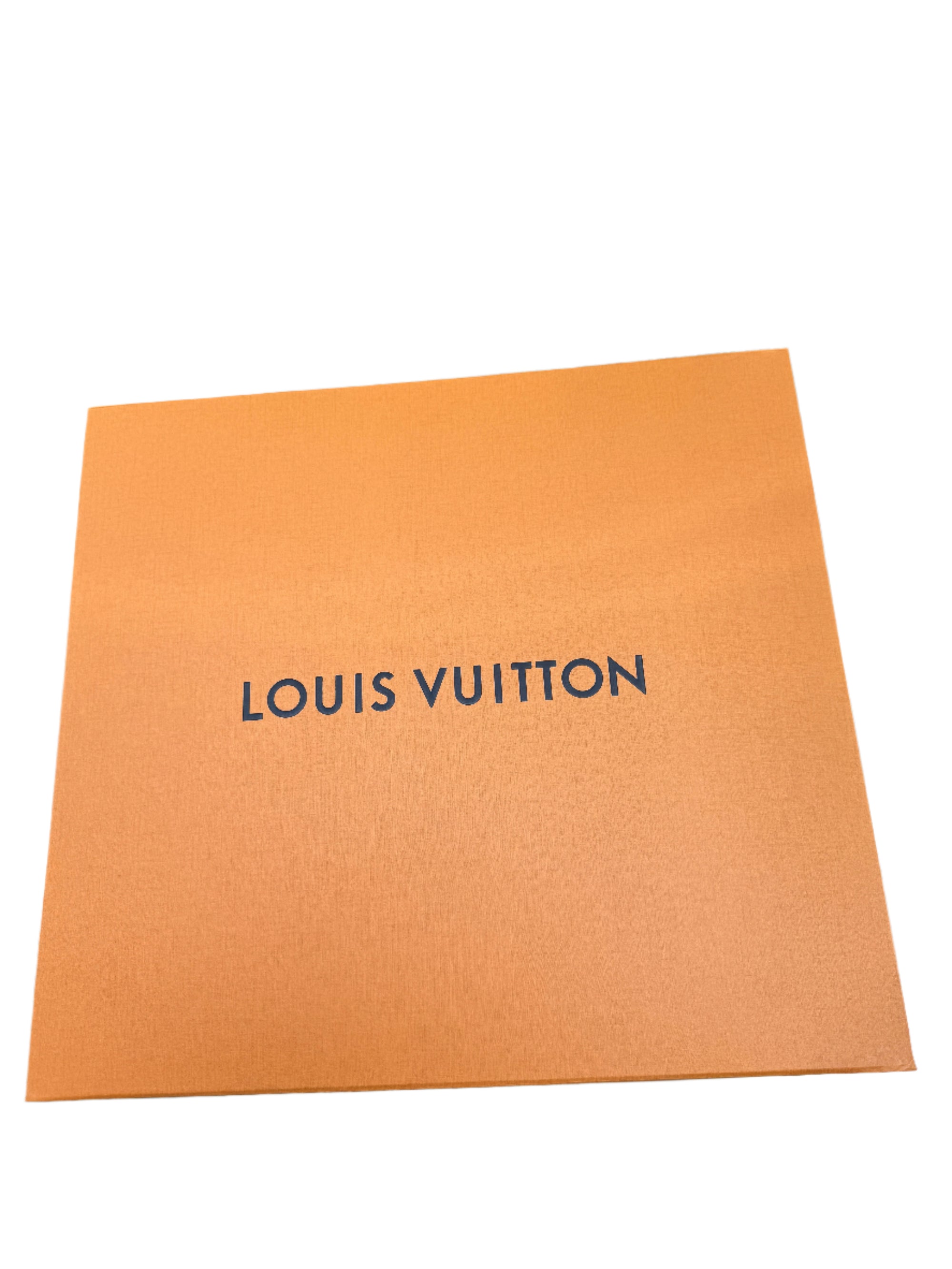 Louis Vuitton Porte-Documents Jour
