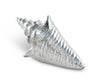 Shell Napkin Weight
