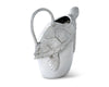 Sea Pitcher