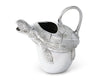 Sea Pitcher