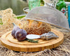 Cheese Board / Spreader