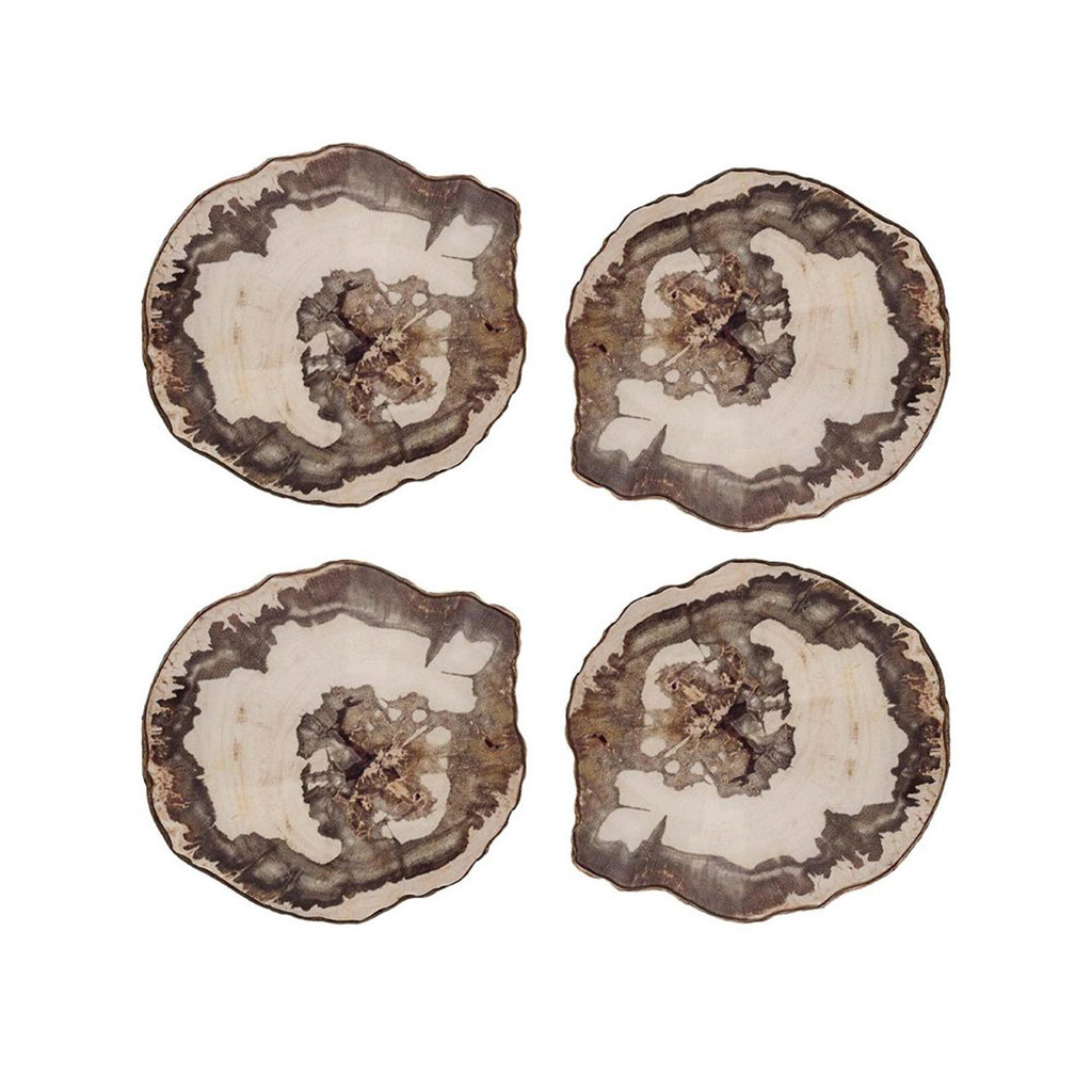 Petrified Wood Coasters