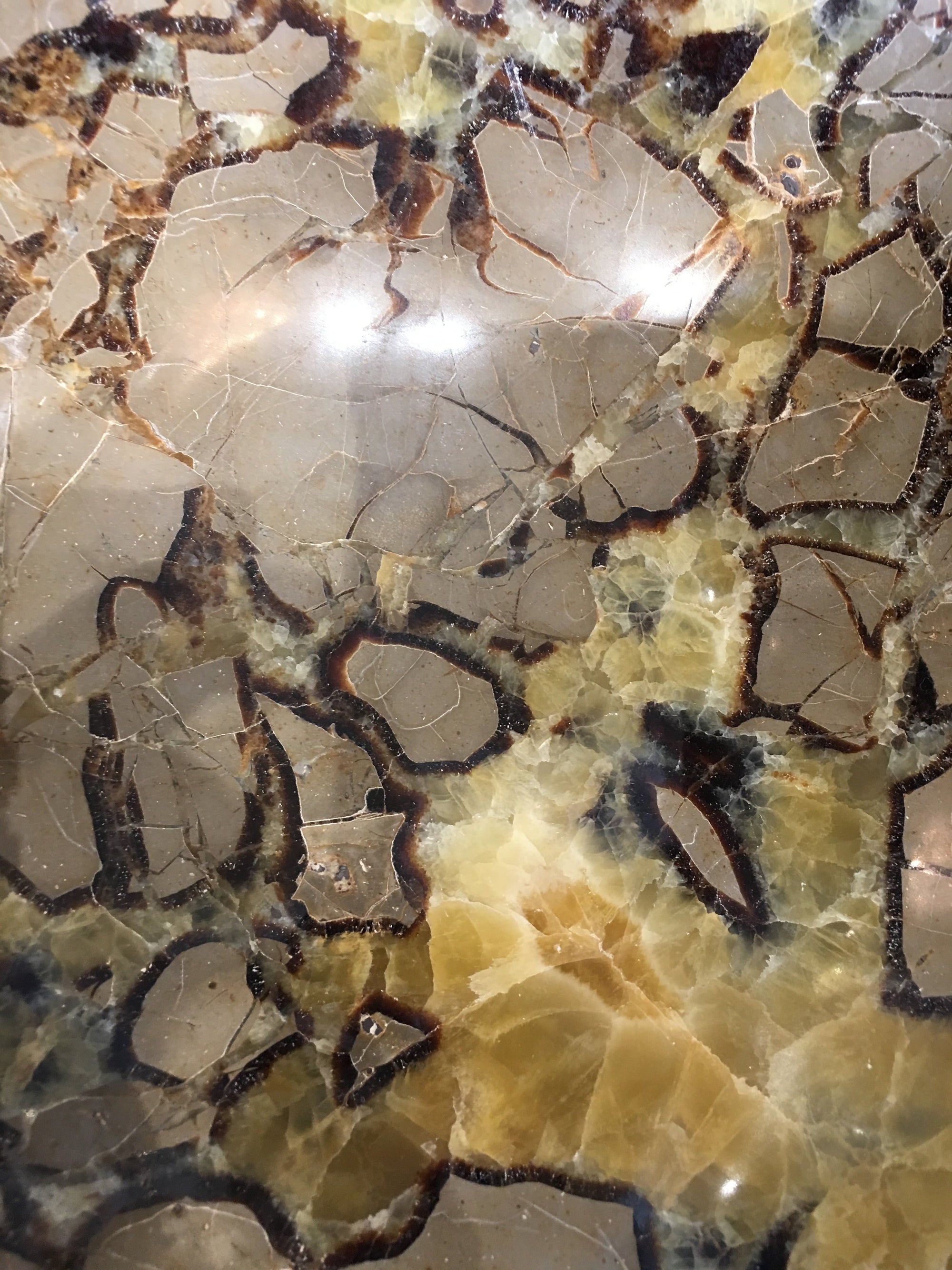 Decorative Bowl Septarian Nodule