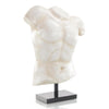 Male Torso Sculpture