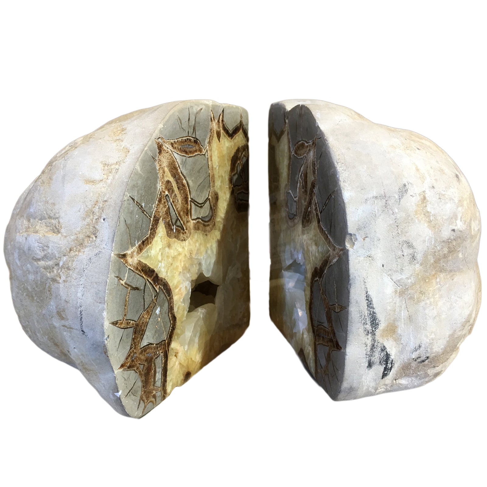 Septarian Nodule Bookends