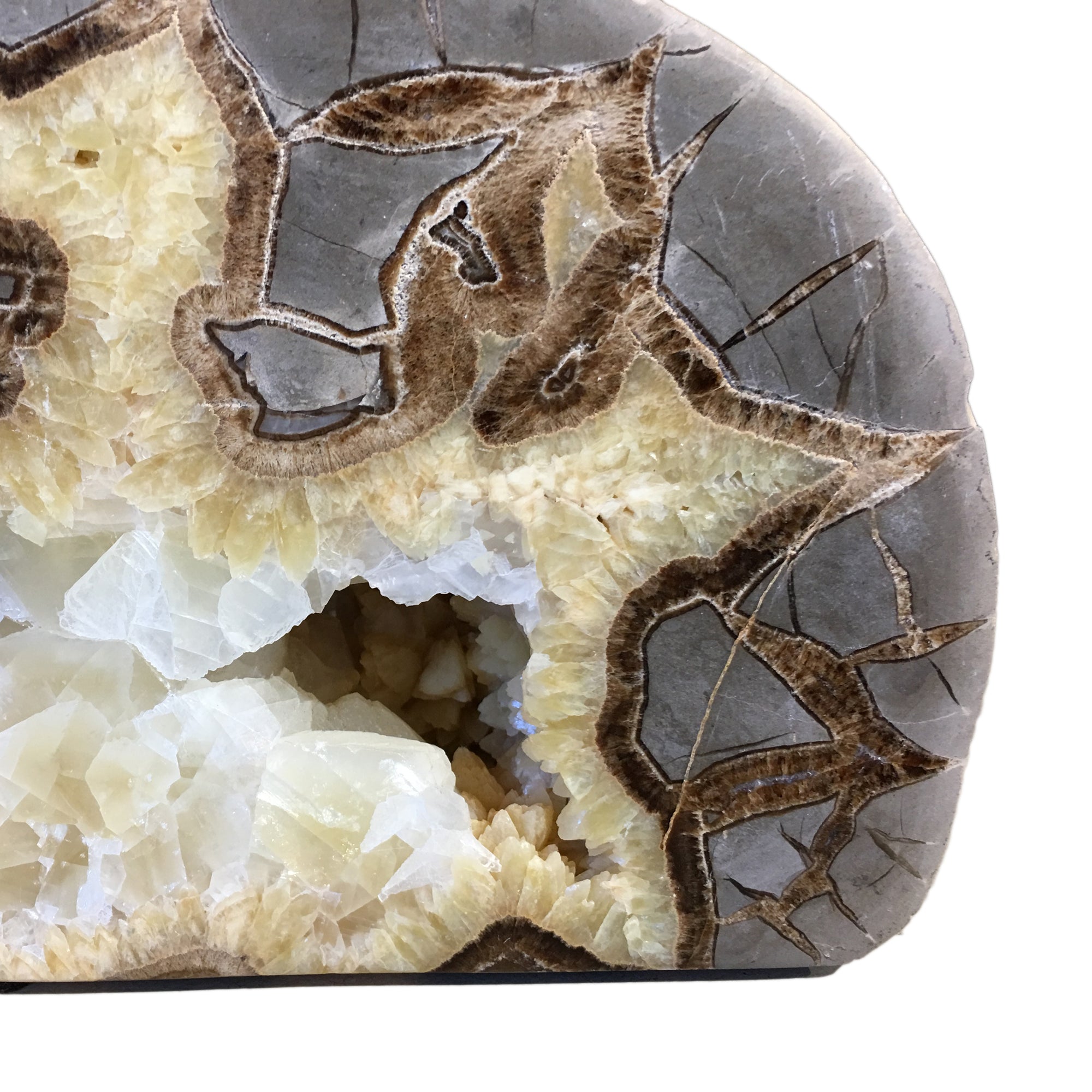 Septarian Nodule Bookends