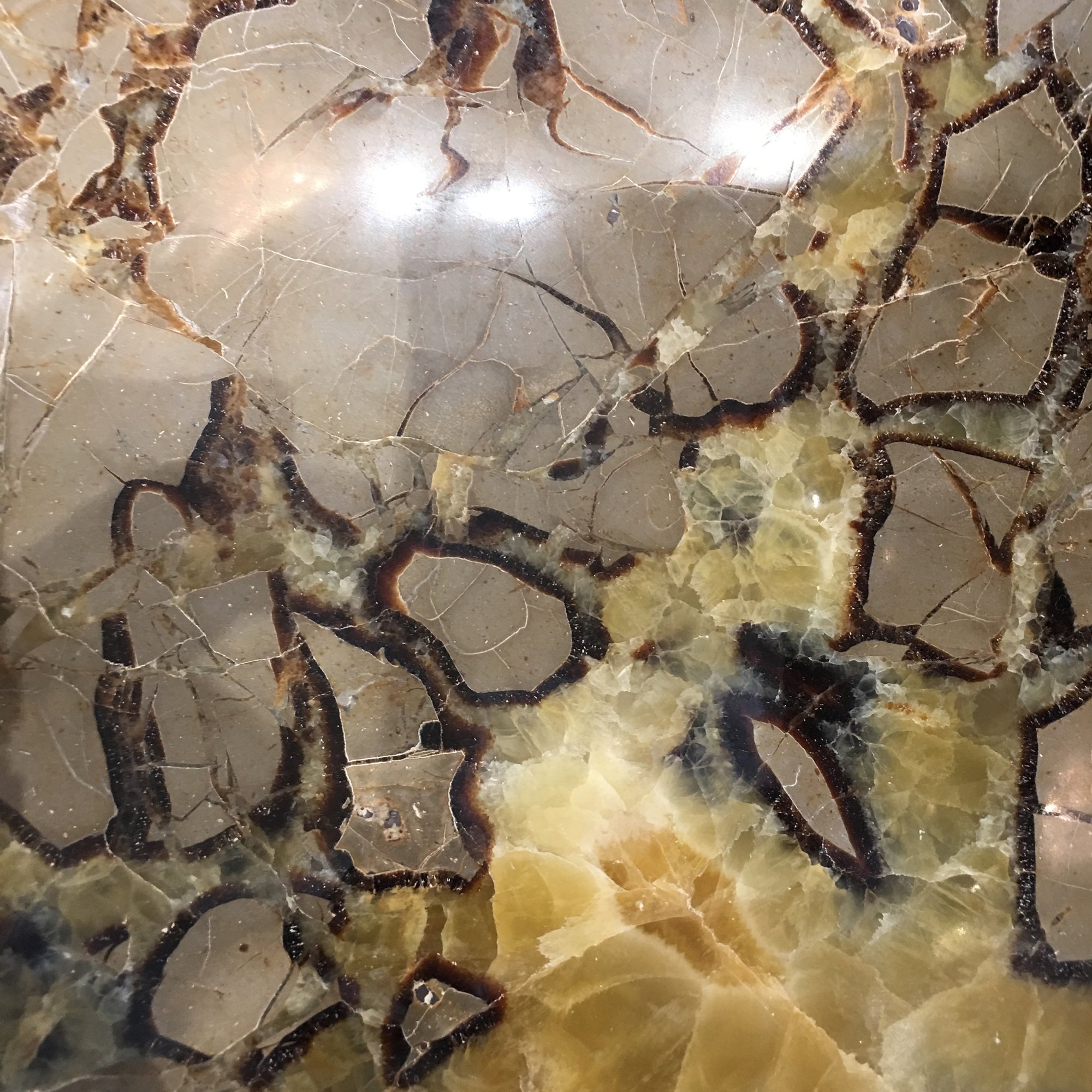 Septarian Nodule Bookends