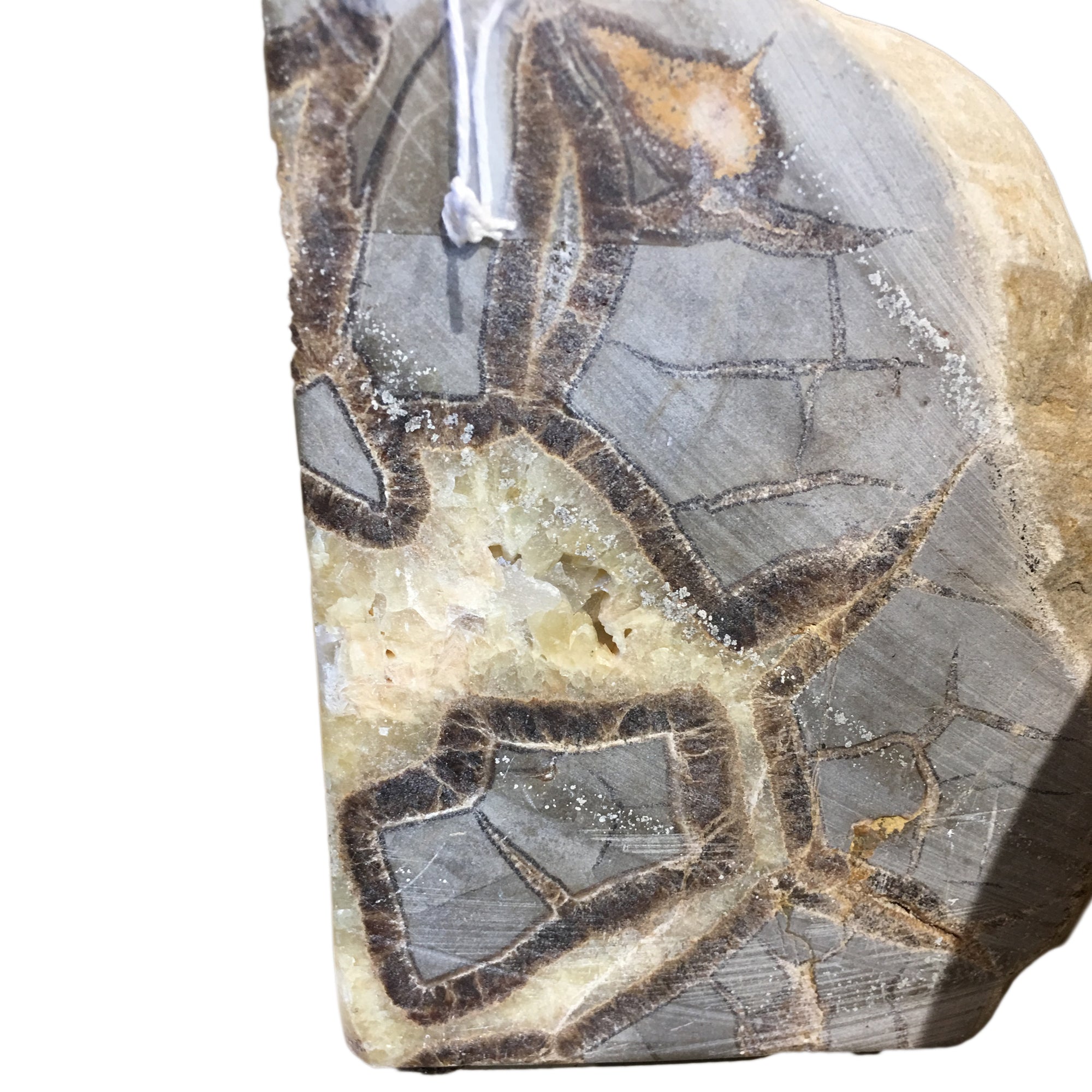 Septarian Nodule Bookends