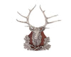 Stag Head Mounts