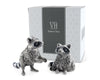 Raccoon Salt And Pepper